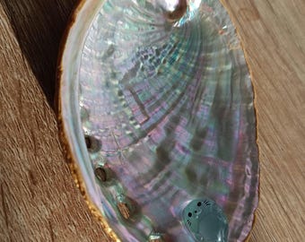 Portagioie in madreperla con ornamento a forma di foca fluorescente