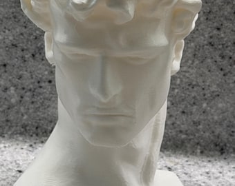 May include: A white 3D printed bust of a male figure with curly hair, a defined jawline, and a serious facial expression. The sculpture features visible horizontal layer lines from the printing process and is rendered in a matte white finish.