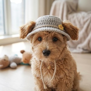 May include: A light gray crocheted bucket hat for a dog, featuring a thin beige cord tied around the crown and a small yellow flower accent on the side. The hat has a wide brim and two long beige cords hanging down from the sides of the hat.
