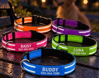 Personalized Reflective Dog Collar & Leash Set, Custom Name Puppy Collar, Adjustable Nylon Walking Gear, Night Safety Gift