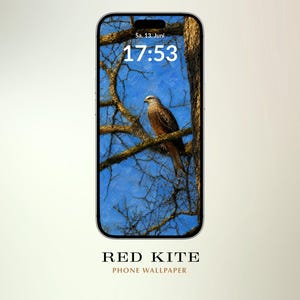Könnte beinhalten: Ein Smartphone mit einem digitalen Hintergrundbild eines Rotmilans, der auf einem kahlen Ast vor einem hellblauen Himmel sitzt. Auf dem Bildschirm sind die Uhrzeit 17:53 und das Datum Sa. 13. Juni zu sehen. Darunter steht der Text RED KITE PHONE WALLPAPER.