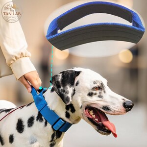 Peut inclure: Un collier pour chien bleu vif doté d'une doublure intérieure noire et d'une boucle en plastique noir. Le collier est porté par un chien blanc à taches noires, avec un encart détaillant l'extérieur en tissu bleu et le rembourrage en mousse.