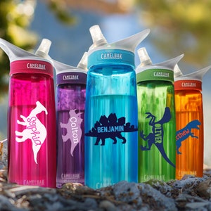 Op de afbeelding: Vijf kleurrijke waterflessen met dinosaurusontwerpen en gepersonaliseerde namen. De flessen zijn allemaal van hetzelfde merk, CamelBak, en hebben een klepdeksel met een rietje.