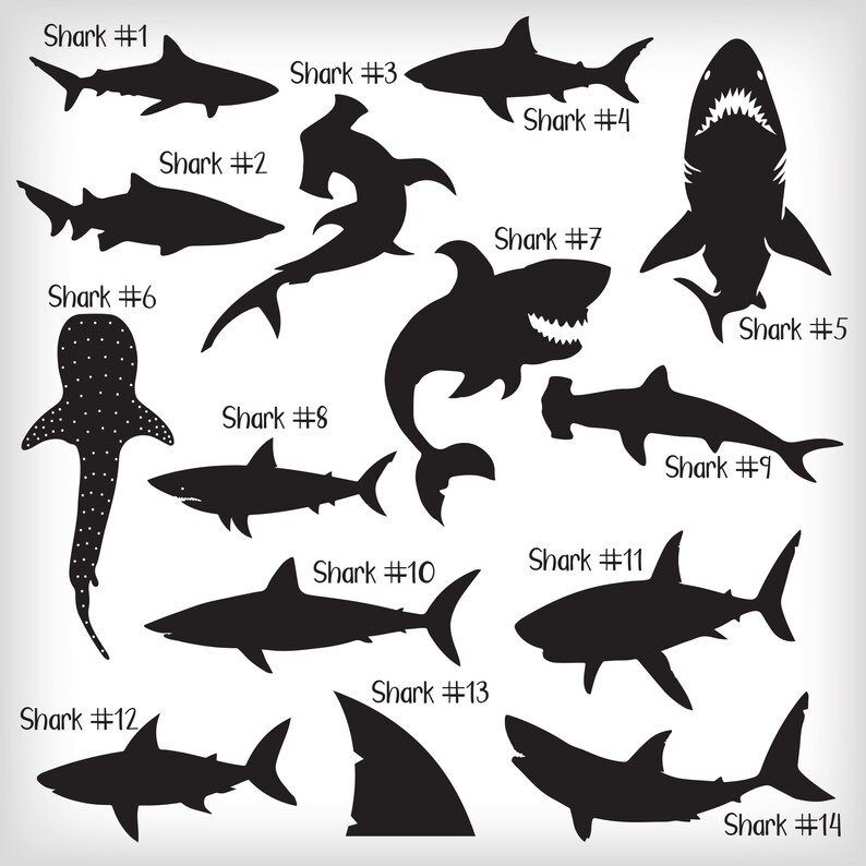 Shark Name Decal Shark Name Sticker Shark Name Label Great | Etsy