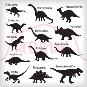 Op de afbeelding: Silhouetten van 12 verschillende dinosaurussen, waaronder Spinosaurus, Brachiosaurus, Parasaurolophus, Iguanodon, Plesiosaurus, Allosaurus, Apatosaurus, Diplodocus, Ankylosaurus, Stegosaurus, Raptor en Triceratops.