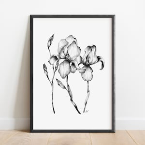 Printable Flower Sketch, Iris Flower Drawing, Floral Sketch, Flower Art Print, Digital Download, Botanical Wall Art, Nature Poster, Iris Art image 1