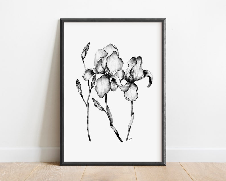 Printable Flower Sketch, Iris Flower Drawing, Floral Sketch, Flower Art Print, Digital Download, Botanical Wall Art, Nature Poster, Iris Art image 1