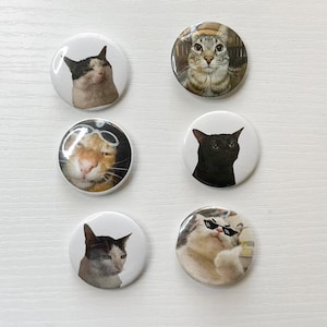 May include: A set of six circular pin-back buttons featuring various cat portraits. The designs include a white and black cat, a tabby cat, an orange cat with goggles, a solid black cat, a white and grey cat, and a cat wearing pixelated sunglasses.