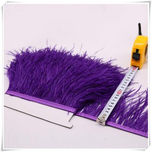 May include: Purple ostrich feather trim with a satin ribbon backing. The trim is measured with a tape measure, showing a length of 10 inches.