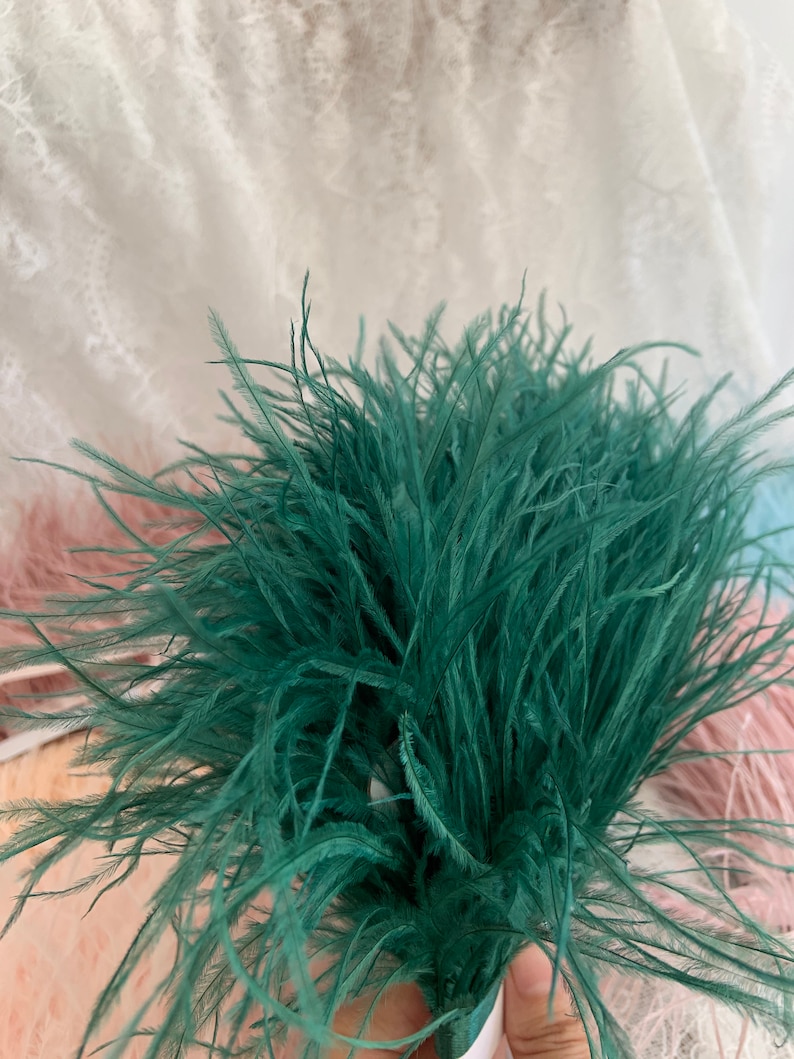 Green Ostrich Feather Trimming Fringe con nastro adesivo, modisteria artigianato costumi decorazione, naturale struzzo capelli piuma trim immagine 8