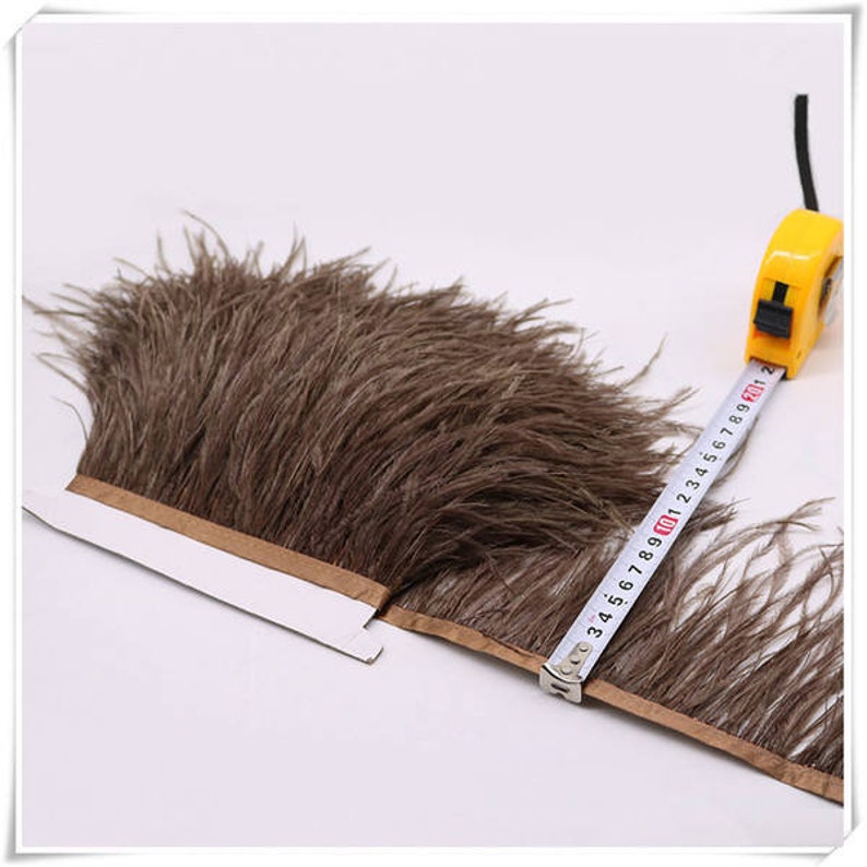 May include: A brown ostrich feather trim with a gold ribbon backing. The trim is measured with a tape measure, showing it is 10 inches long.
