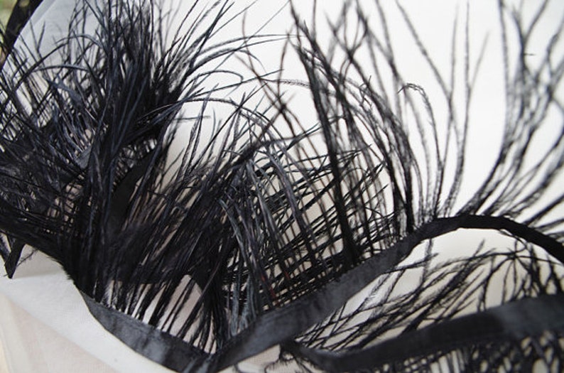 May include: Black ostrich feathers arranged in a fan shape. The feathers are soft and fluffy, with a delicate texture.