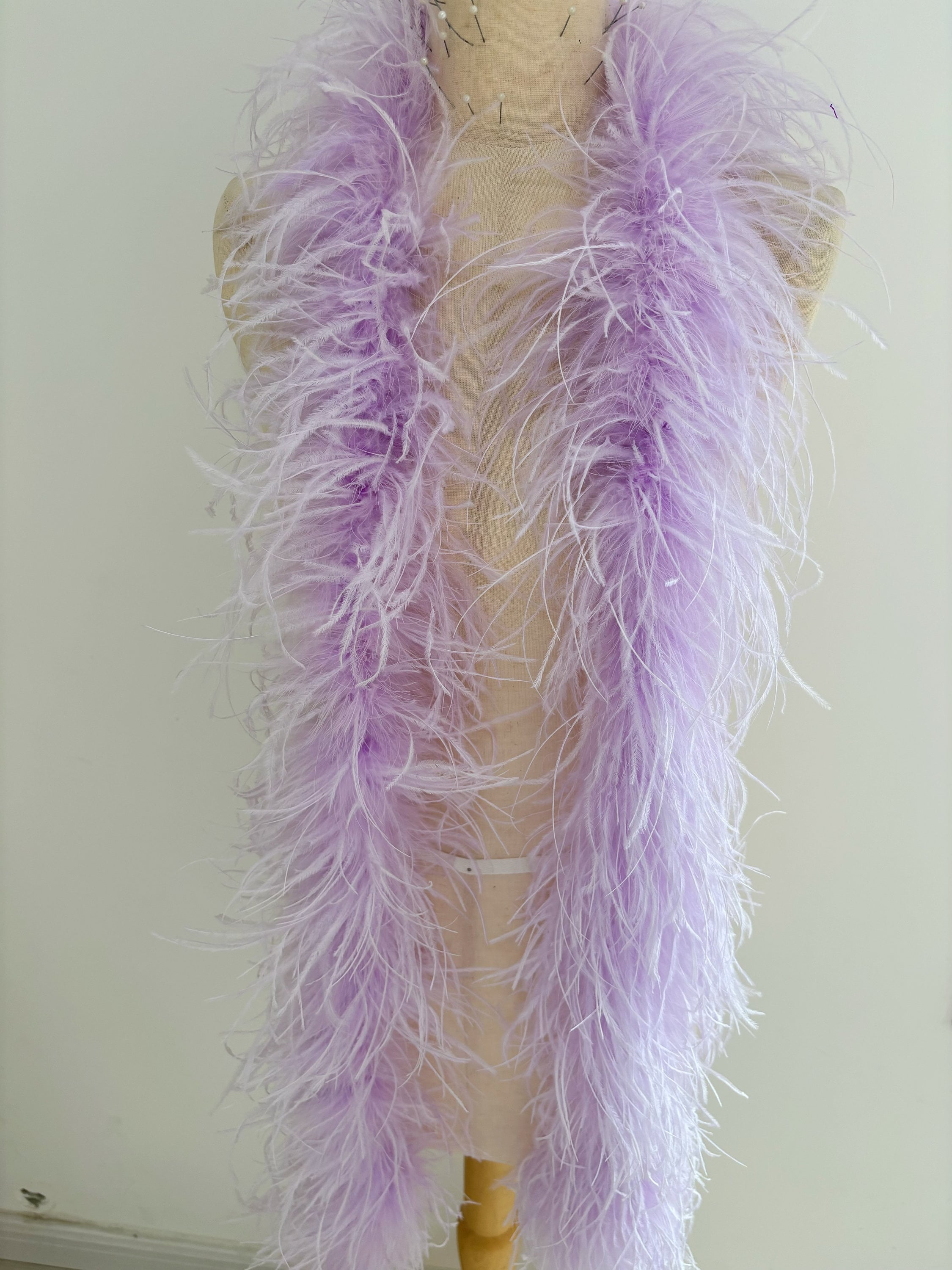 Bande Plumes 2 Mètres - Largeur 10 Cm - Multicolore - Plumes De Ditte - DIY Décoration Fête, Costume, Accessoire