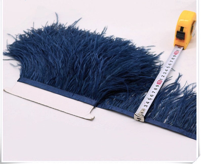 May include: A blue ostrich feather trim with a satin backing. The trim is measured with a tape measure, showing it is 10 inches long.