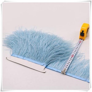 May include: A light blue feather trim with a satin ribbon backing. The trim is measured with a tape measure, showing it is approximately 10 inches long.