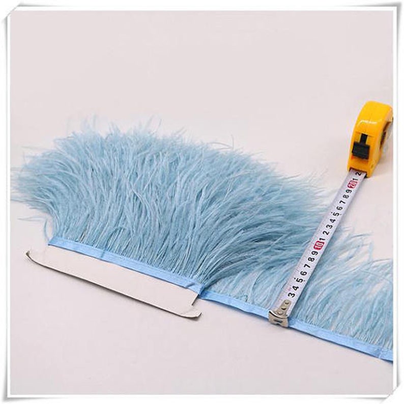 May include: A light blue feather trim with a satin ribbon backing. The trim is measured with a tape measure, showing it is approximately 10 inches long.