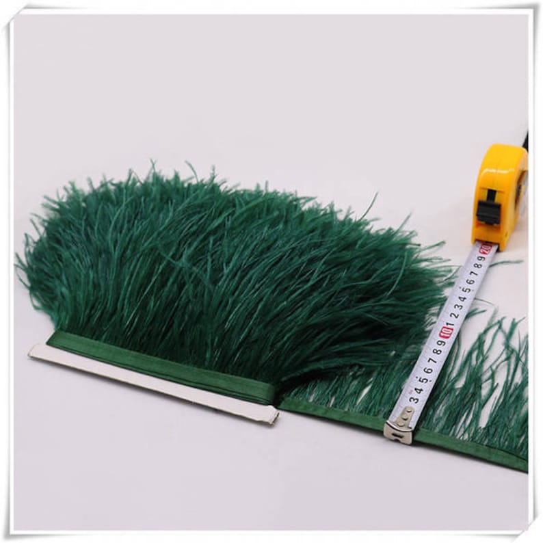 May include: A green ostrich feather trim with a measuring tape showing it is 10 inches long.