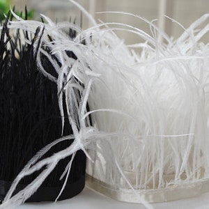 May include: Two bundles of ostrich feathers, one black and one white, are tied together with a black ribbon. The feathers are soft and fluffy, and they would be perfect for a craft project or a decorative accent.
