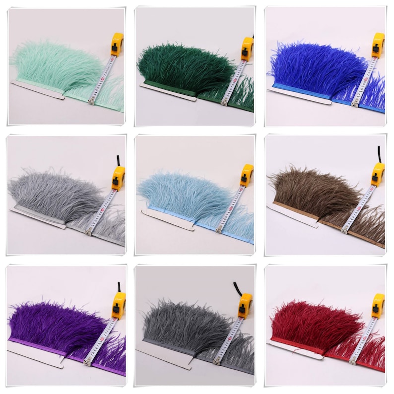 May include: Nine different colors of feather trim, each measuring 10 inches in length. The colors are: light green, dark green, blue, gray, light blue, brown, purple, gray, and red.