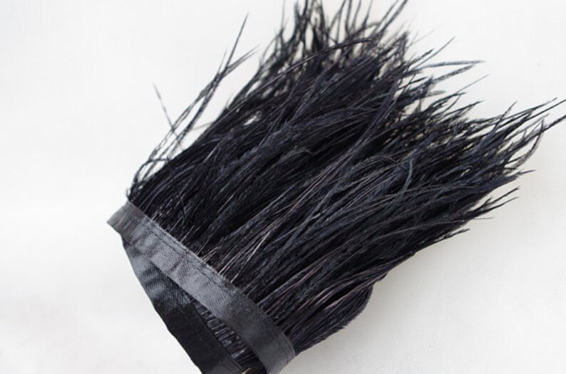 May include: Black ostrich feather trim with a black satin ribbon backing. The feather trim is approximately 10 inches long.