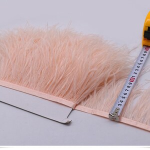 May include: A close-up of a pale pink feather trim with a measuring tape showing 10 inches. The feather trim is soft and fluffy.
