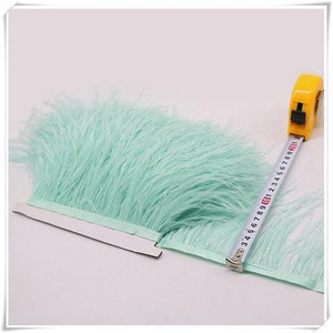May include: A light green feather trim with a white backing. A measuring tape is used to show the length of the trim, which is 10 inches.