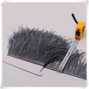 May include: Gray ostrich feather trim with a measuring tape showing 10 inches. The trim is approximately 1 inch wide.