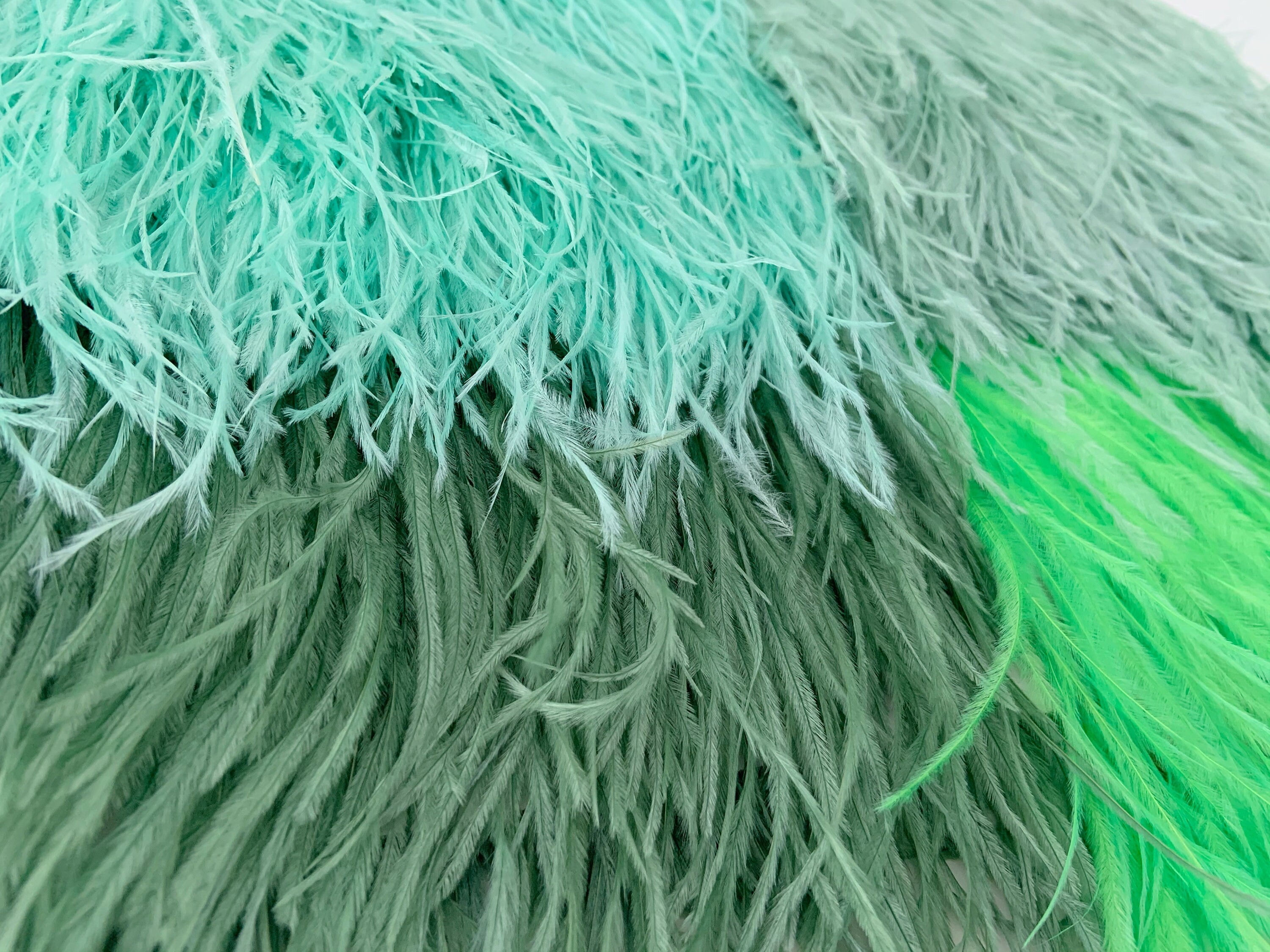 Ostrich feather fabric top