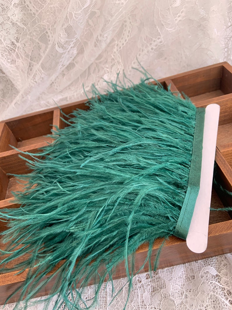 Green Ostrich Feather Trimming Fringe con nastro adesivo, modisteria artigianato costumi decorazione, naturale struzzo capelli piuma trim immagine 1