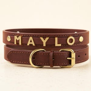 May include: A dark brown collar featuring gold-toned metal hardware and the name MAYLO spelled out in gold-toned block letters. The collar includes a buckle closure, a D-ring, and two gold-toned rivets securing the nameplate to the strap.