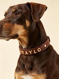 Custom Name Dog Collar, Personalized Leather Collar with Metal Letters, Adjustable Puppy Collar, Dog Mom Gift product logo