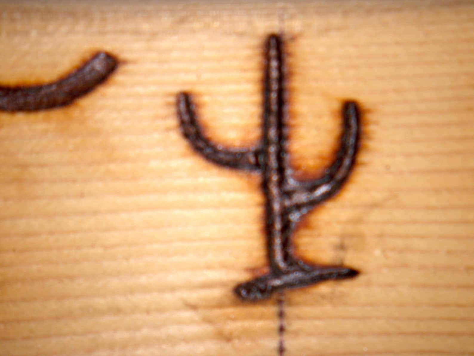Branding Iron Saguaro Cactus Etsy