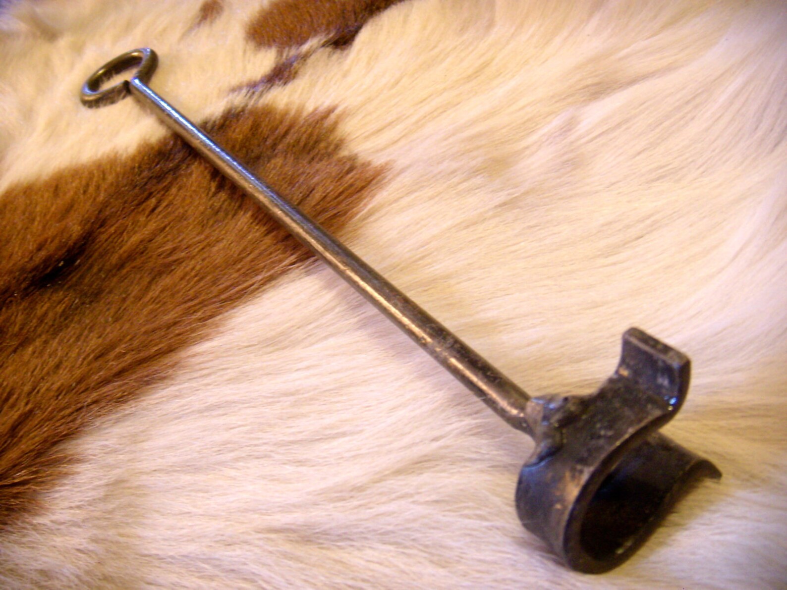 Branding Iron Horseshoe Etsy