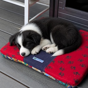 May include: A sleeping black and white puppy rests on a red and blue dog bed. The bed has a red background with black paw prints and a blue center. The puppy is curled up, with its eyes closed.