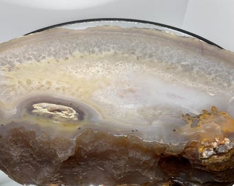 Op de afbeelding: Een gepolijste agaatplak met concentrische banden in doorschijnende witte, crèmekleurige en lichtgrijze tinten. De buitenrand vertoont een ruwe, getextureerde bruine korst, terwijl de binnenkant kristallijne formaties en een kleine holte onthult.