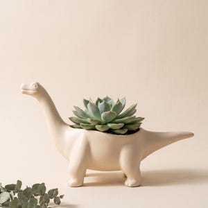Op de afbeelding: Een matte crèmekleurige keramische dinosaurusvormige plantenbak met een lange nek en staart. Een groene vetplant met dikke, gelaagde bladeren zit in de opening op de rug van de dinosaurus. Een klein takje eucalyptus ligt er vlakbij.