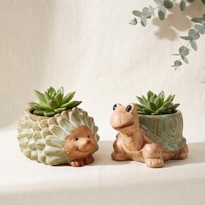 May include: Two ceramic animal-shaped planters, one shaped like a hedgehog and the other like a turtle, both featuring a light green and tan glaze. Each planter holds a small green succulent plant, creating a pair of decorative containers.