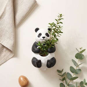 Lindinho Vaso Panda de Resina | Kawaii Animal Cache-pot Suculenta | Deco Escritório Casa Jardim | Presente Original Amantes de Pandas
