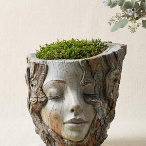 Puede incluir: Una maceta con forma de tronco de árbol gris y marrón que presenta un rostro humano esculpido con los ojos cerrados. El exterior tiene un acabado de corteza texturizada con un pequeño detalle de mariposa en el lateral. Relleno de musgo y suculenta.