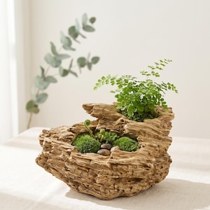 Maceta Resina Efecto Madera Flotante | Cache-Pot Rústico 2 Cavidades para Suculentas & Bonsai | Zen Naturaleza | Regalo