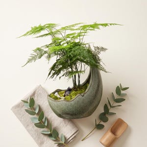 Keramisk Kruka i Form av Växande Måne Grön |Bonsai & Köttväxt Design Cache-kruka |Modern Samtida Planterare |Originalöverraskningsdekoration