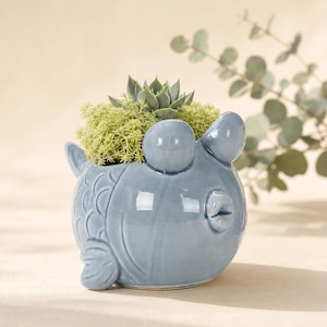 Op de afbeelding: Een lichtblauwe keramische plantenbak in de vorm van een ronde vis met reliëfschubben, uitpuilende ogen en een getuite mond. De plantenbak bevat een groepje kleine groene vetplantjes en een centrale rozetvormige vetplant.