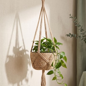 Puede incluir: Un colgador de plantas de macramé beige con una estructura de cesta tejida, cuatro cordones de soporte y una larga borla decorativa en la parte inferior. Una planta de hojas verdes está contenida en la cesta, con enredaderas que cuelgan.