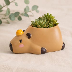 Könnte beinhalten: Ein beigefarbener Übertopf in Form eines Wasserschweins mit einem kleinen gelben Vogel auf dem Kopf. Der Übertopf hat dunkelbraune Ohren, eine Nase und Füße sowie rosa Wangen. Eine grüne Sukkulente ist im hohlen Rücken der Figur eingepflanzt.