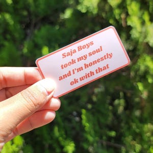 Saja Boys Took My Soul Sticker – K-pop Demon Hunter Inspired Vinyl Sticker