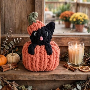 May include: A plush, crocheted black cat sitting inside a large, textured orange pumpkin. The cat wears a smaller orange pumpkin hat with a green stem. The cat has white embroidered eyes and a small pink nose, crafted from soft, chunky yarn.