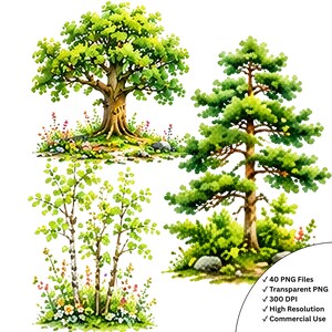 Puede incluir: Un conjunto de ilustraciones digitales que presenta tres árboles distintos: un árbol de hoja caduca, un pino conífero alto y un grupo de abedules delgados, rodeados de pequeñas flores silvestres y rocas, con texto que enumera 40 archivos PNG.