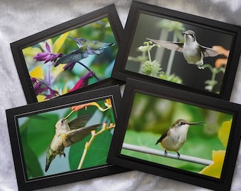 Blank Matted Note Cards - Package of 4