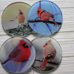 Set of 4 Round Glass Coasters - Cardinals- Save the finish on your furniture with these great coasters
