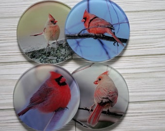 Set of 4 Round Glass Coasters - Cardinals- Save the finish on your furniture with these great coasters